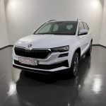 Skoda Karoq 2.0 TDI Tour 4x4 DSG